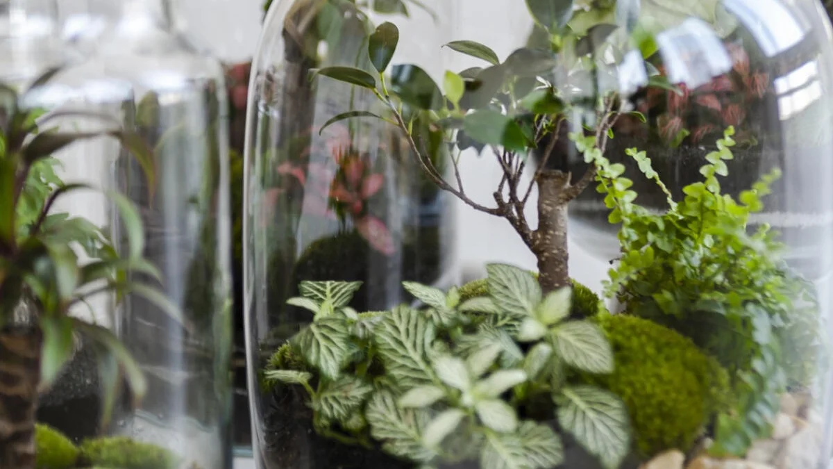 Din flaschehave skimler? Det kan du gøre ved det